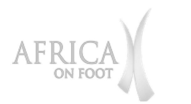 Africa on Foot