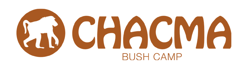 Chacma Bush Camp